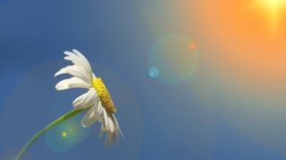 【信じて見守る子育てと人間関係】干渉・心配・期待を手放すと人生がラクになる理由