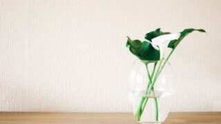 「ゆるせない自分」を癒す｜スピリチュアルと心理学でわかる「ゆるす」の本当の意味