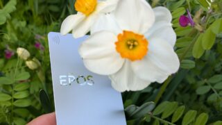 海外旅行保険は必要?入らないとどうなるかと無料で備える方法